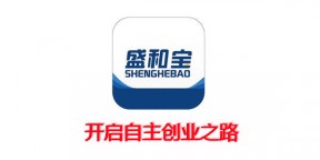 盛和宝合伙人的行业优势在哪里？